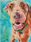 dog painting acrylic on canvas, colorful and loving pet looking at the viewer