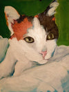 I paint cats tooA beautiful white with orange and black cat laying in a pile of white fabric.